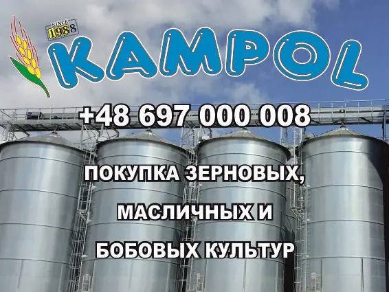 Куплю сорго белое- фото № 1
