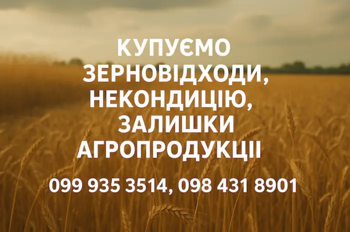 Купуємо некондиційне зерно та побічні продукти- фото № 1