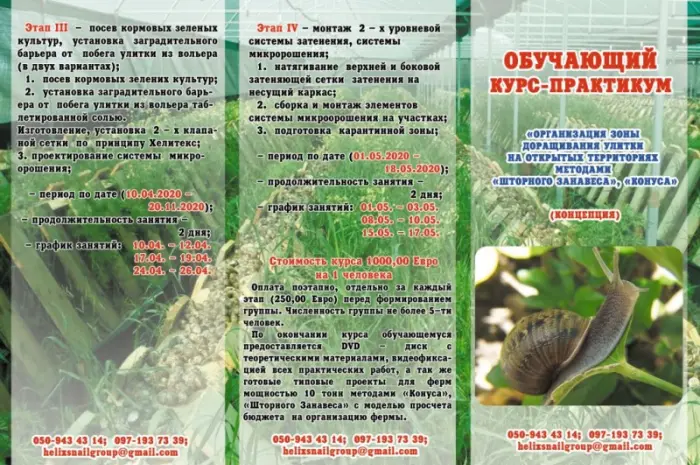 Улиточная ферма методом "Шторного Занавеса". Обучающий курс - практикум- фото № 1