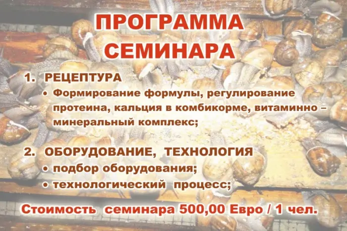 Улиточная ферма методом "Шторного Занавеса". Обучающий курс - практикум- фото № 4