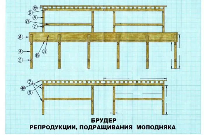 Улиточная ферма разведения виноградной улитки. Технология- фото № 7