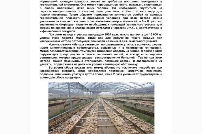 Улиточная ферма разведения виноградной улитки. Технология- фото № 2