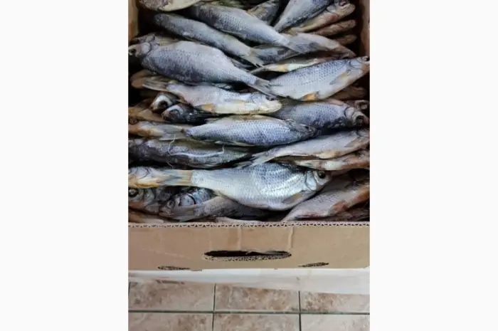 Продам тарань вяленную 125грн/кг. 130грн/кг. 170грн/кг. Опт- фото № 1