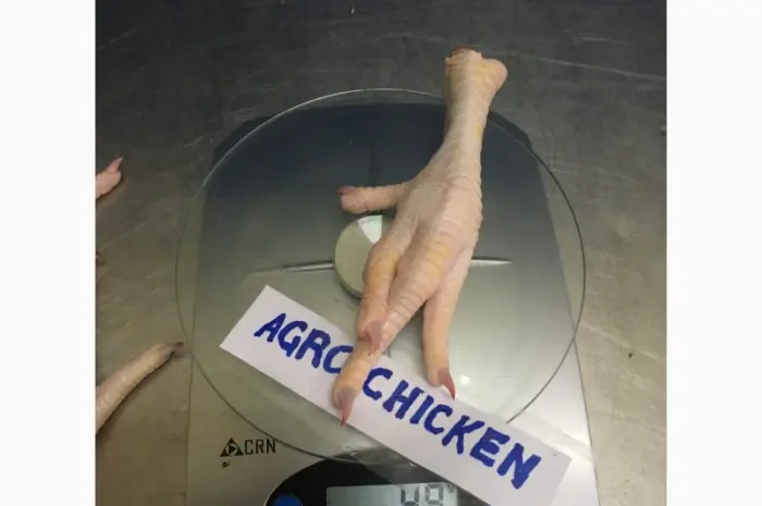Куриная лапа класс Б(chicken paw grade В)- фото № 2