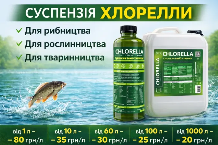 Суспензія Хлорелли від виробника. Живий планктонний штамм- фото № 1