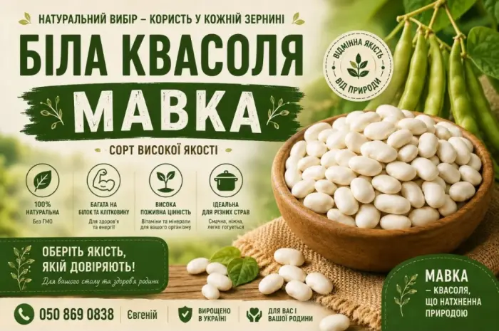 Продаж квасолі Біла мавка(рисовка)- фото № 1