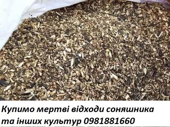 Куплю мертві відходи соняшника та інших культур- фото № 1