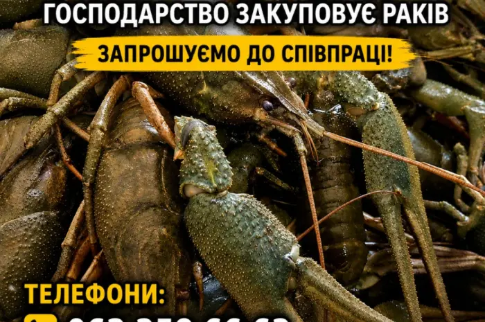 Закуповуємо Рака- фото № 1