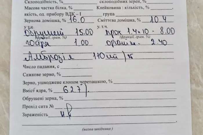 Продам жовте просо- фото № 2