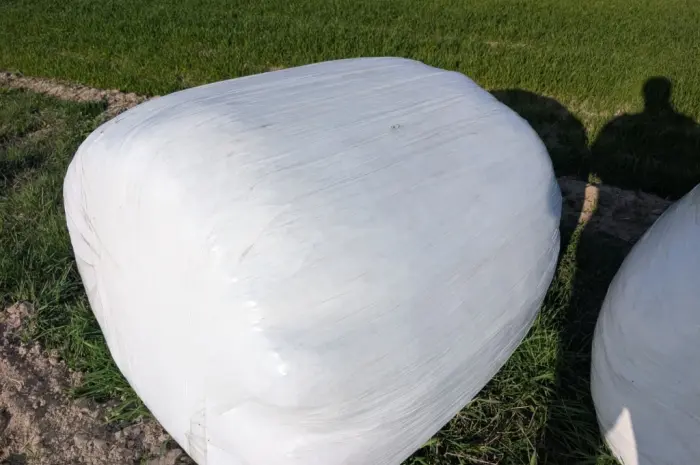 Продам тюки в рулонах- фото № 4
