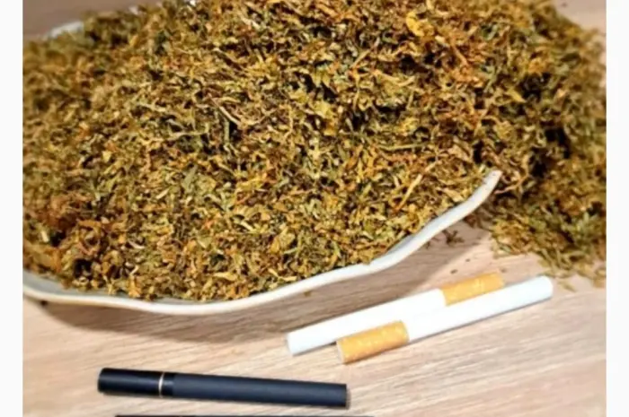 Файний тютюн- фото № 3