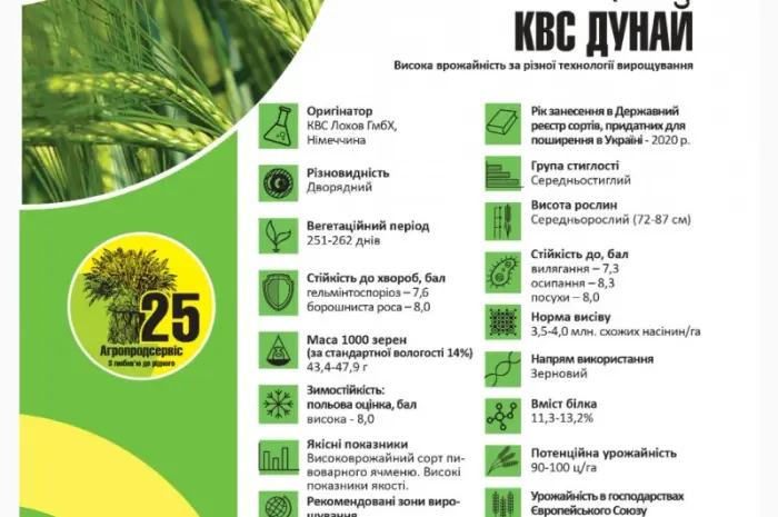 Продам семена озимого Ячменя сорт КВС Дунай- фото № 1