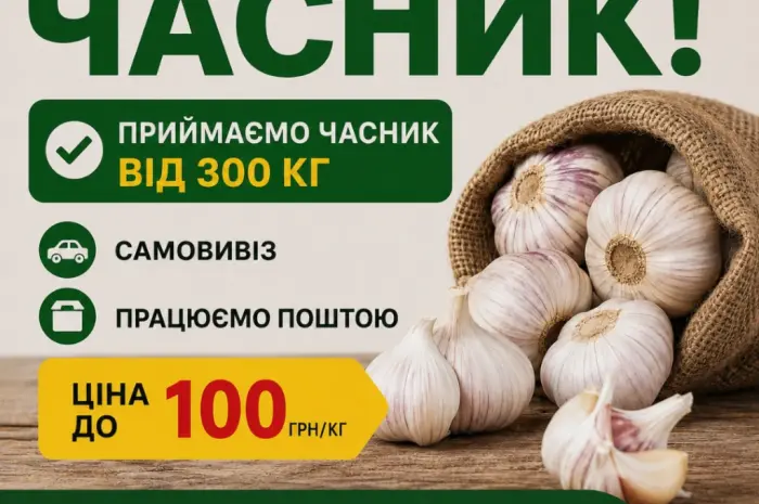 Закуповуємо часник від 1 тони- фото № 1