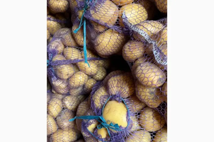 Продам картоплю Рівʼєра- фото № 1