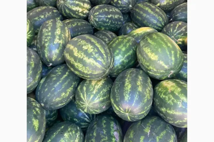 Продам кавун ОПТ з поля- фото № 1