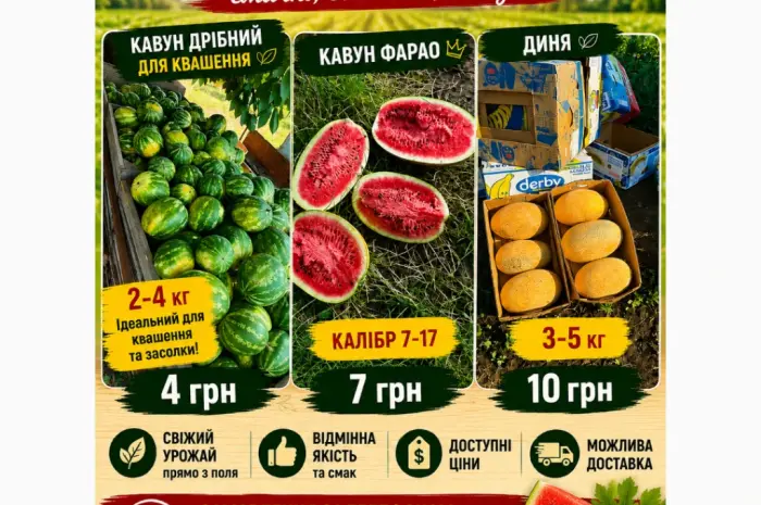 Продам кавун- фото № 1
