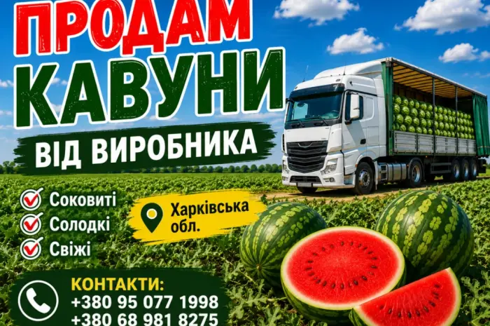 Продам кавун- фото № 2