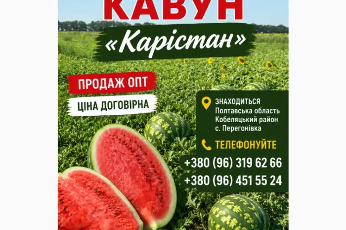 Продам кавун Карістан- фото № 1