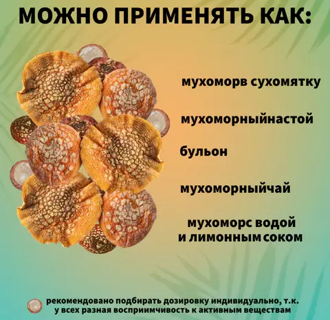 Мухомор Красный Сушеный- фото № 5
