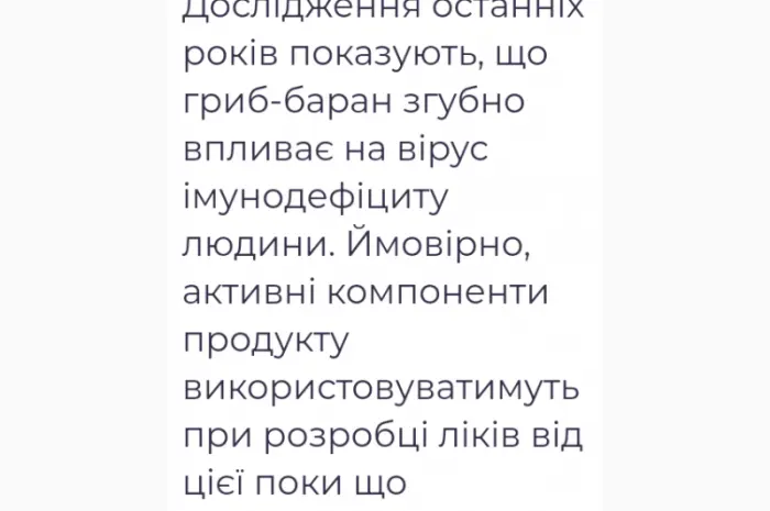 Лікувальний Мейтаке лісовий гриб сушений- фото № 3