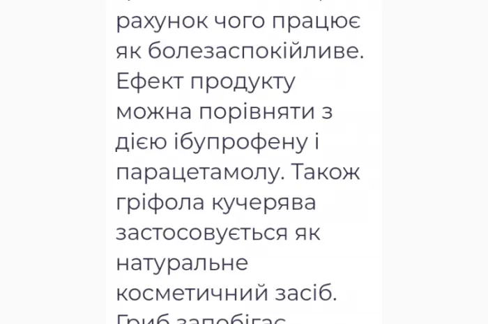 Лікувальний Мейтаке лісовий гриб сушений- фото № 5