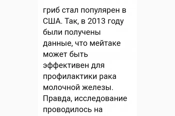 Лікувальний Мейтаке лісовий гриб сушений- фото № 7