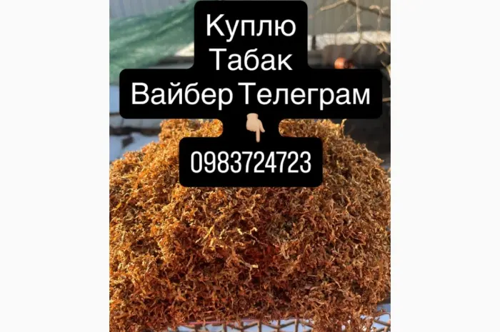 Куплю Табак ОПТ- фото № 1