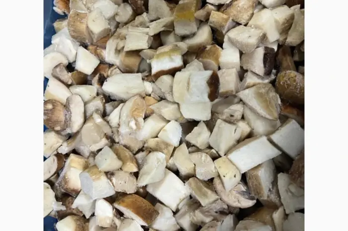 Продаж.Білі гриби морожені ( кубик 1.5×1.5 )- фото № 1