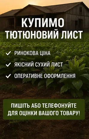 Купимо тютюновий лист за ринковою ціною- фото № 1