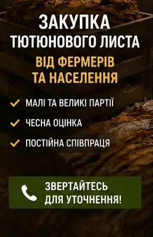 Закупка тютюнового листа від населення та фермерів- фото № 1