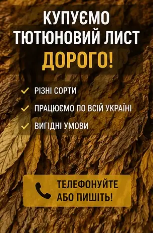 Купуємо висушений лист тютюну дорого- фото № 1