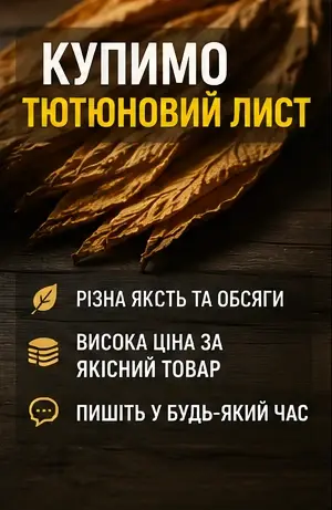 На постійній основі купимо лист тютюну- фото № 1