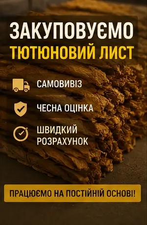 Закуповуємо тютюновий лист по хорошій ціні- фото № 1