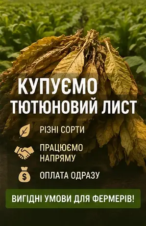 Потрібен тютюновий лист у великих та малих об’ємах- фото № 1