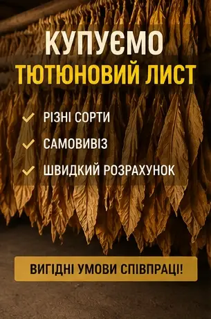 Купуємо листовий тютюн у фермерів та приватних господарств- фото № 1