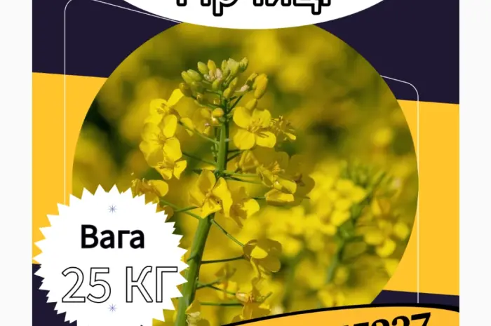 Насіння Гірчиці. Семена Горчицы. Сидерати. Насіння Гірчиці Біла- фото № 1