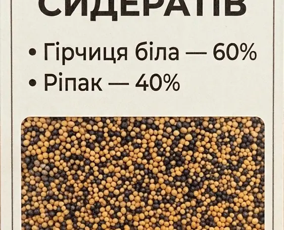 Сидерат. Суміш сидератів Гірчиця біла - 60%. Ріпак -40%.Біла гірчиця. Ріпак- фото № 1