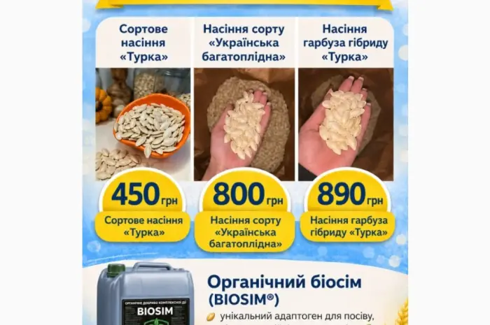 Посівний матеріал гібриду «Турка»- фото № 1