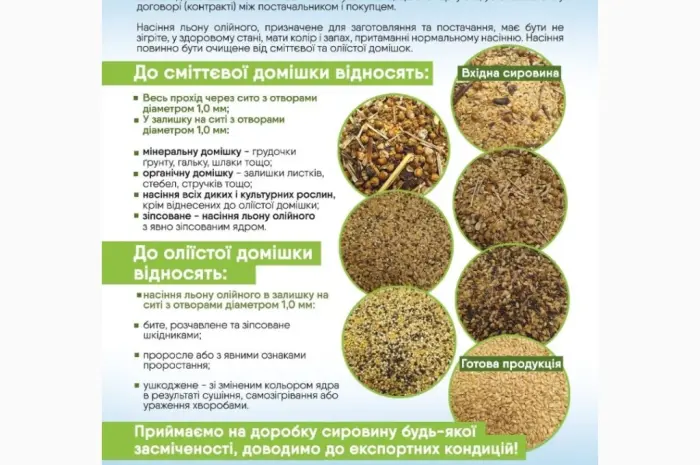Підготовка насіння льону- фото № 1