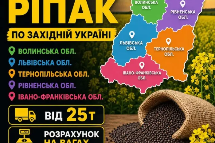 Куплю ріпак по західній Україні. Розрахунок на вагах- фото № 1