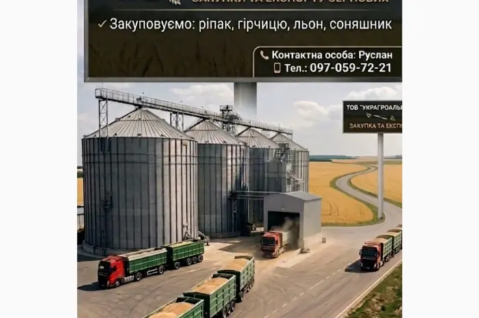 Компанія купить Ріпак та сонях! Працюємо з посередниками! Вигідні умови- фото № 1