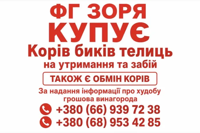 Закупівля ВРХ- фото № 1