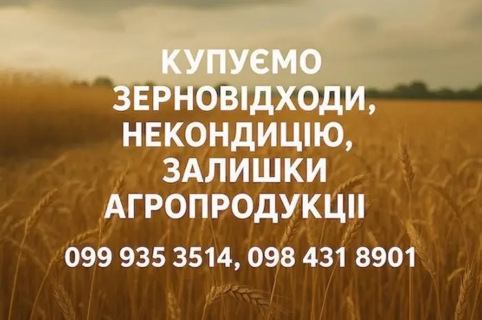 Закуповуємо некондиційне зерно та побічну агропродукцію- фото № 1