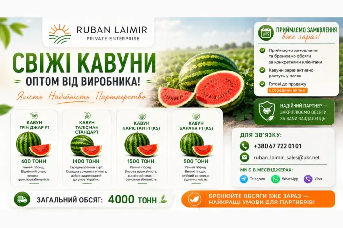 Продам арбуз оптом от производителя | сорта Грин Джар F1- фото № 1