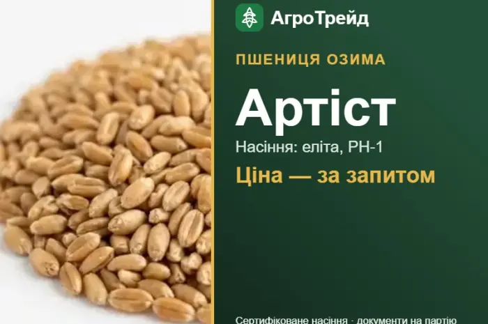 Пшениця Артіст — насіння еліта, РН-1- фото № 1