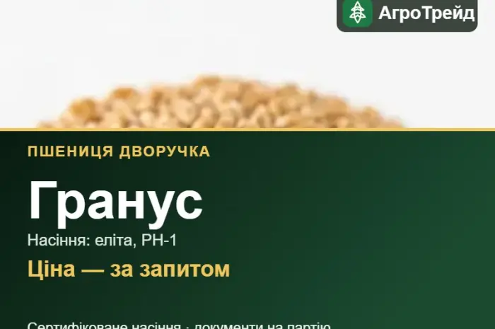 Пшениця дворучка Гранус — насіння еліта, РН-1- фото № 1