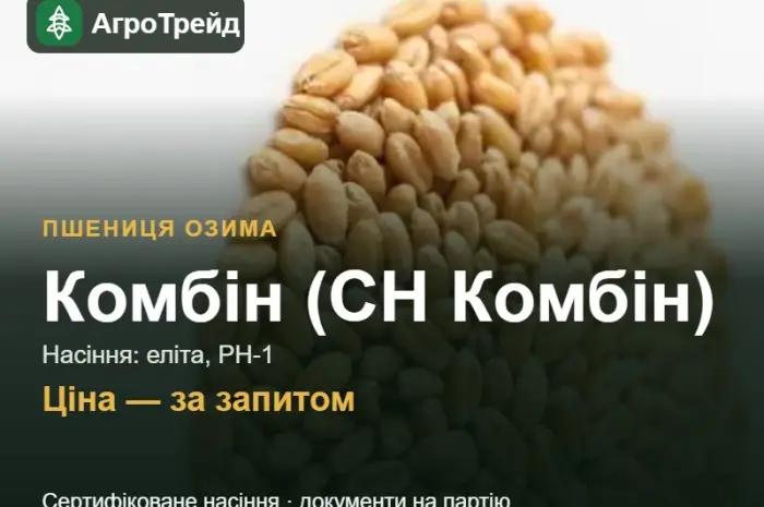 Пшениця Комбін (СН Комбін) — насіння еліта, РН-1- фото № 1