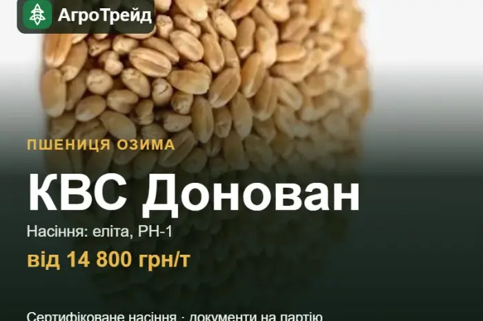 Пшениця КВС Донован — насіння, від 14 800 грн/т- фото № 1