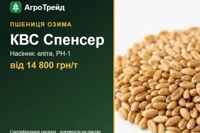 Пшениця КВС Спенсер — насіння, від 14 800 грн/т- фото № 1