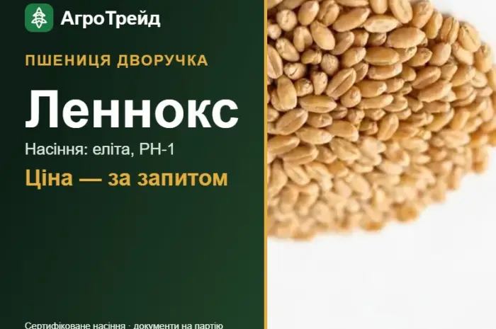 Насіння: пшениця дворучка Леннокс- фото № 1
